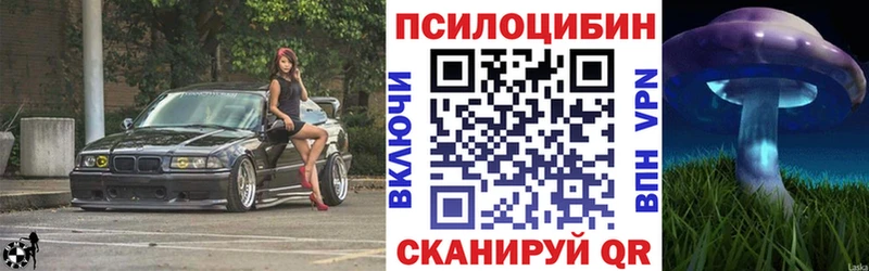 МЕГА как войти  Енисейск  Галлюциногенные грибы мицелий 